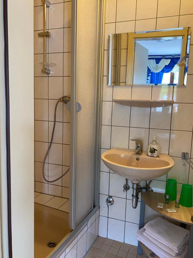 Holiday Apartment Mit Moselblick Im Moselhaus Cochem Eksteriør billede